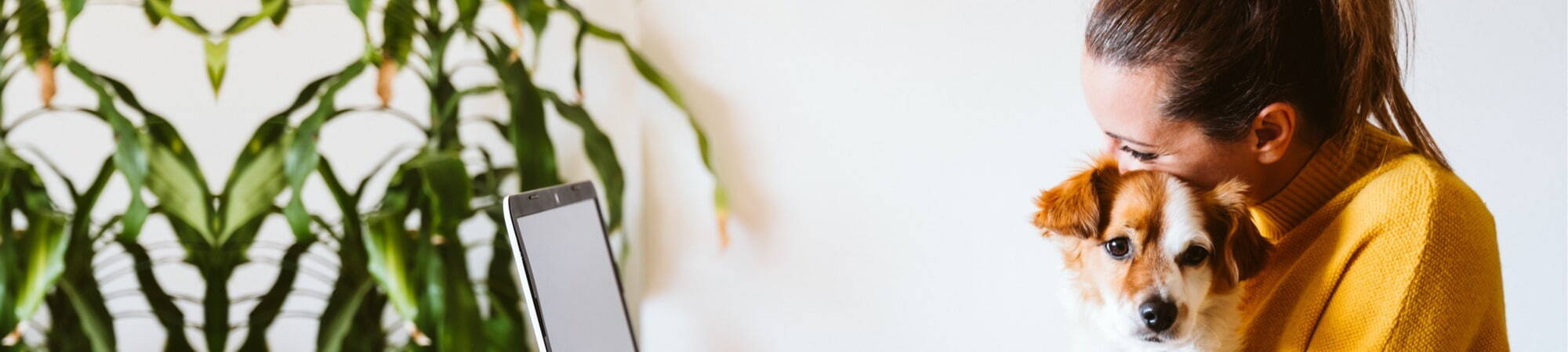 Banner Default Image